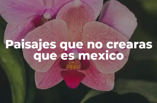 Paisajes que No Crearas que es Mexico