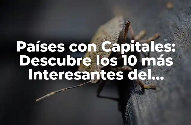 Países con Capitales: Descubre los 10 Más Interesantes Del Mundo