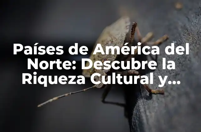 Países de América Del Norte: Descubre la Riqueza Cultural y Natural de la Región