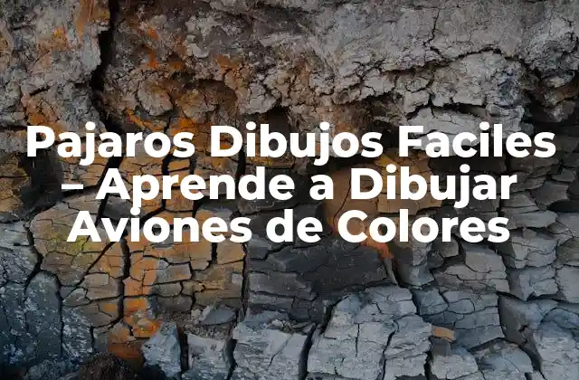 Pajaros Dibujos Faciles – Aprende a Dibujar Aviones de Colores