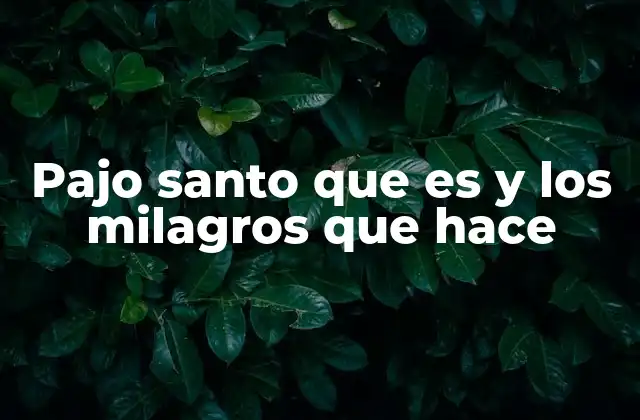 Pajo Santo que es y los Milagros que Hace