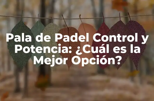 Pala de Padel Control y Potencia: ¿cuál es la Mejor Opción?
