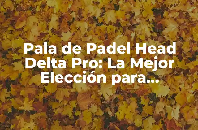 Pala de Padel Head Delta Pro: la Mejor Elección para Jugadores Experimentados
