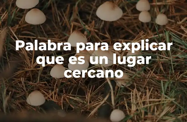 Palabra para Explicar que es un Lugar Cercano 2 Cómo describir la proximidad sin usar directamente la palabra clave