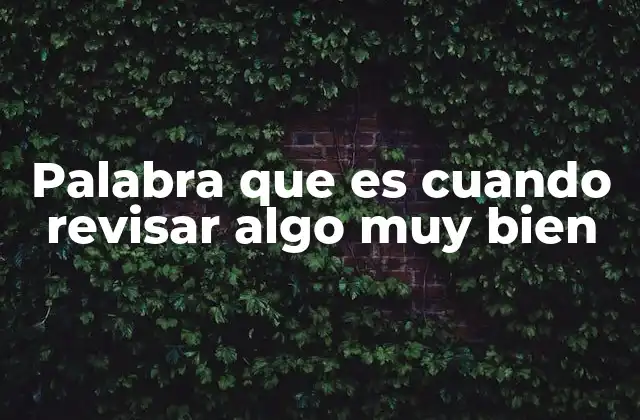 La importancia de revisar con detalle en diferentes contextos