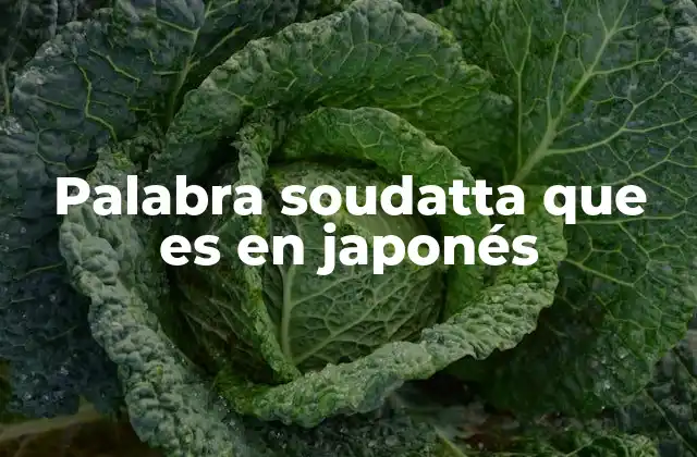 Palabra Soudatta que es en Japonés