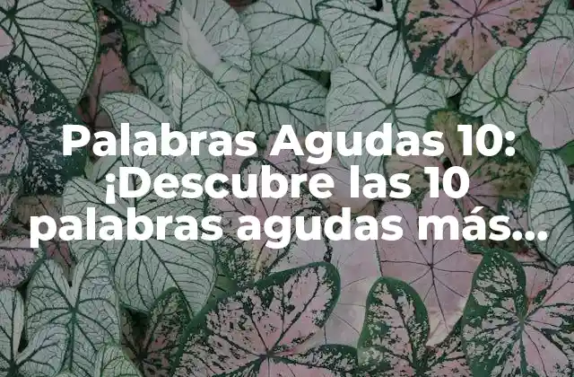 Palabras Agudas 10: ¡descubre las 10 Palabras Agudas Más Comunes en Español!
