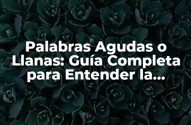Palabras Agudas o Llanas: Guía Completa para Entender la Pronunciación en Español