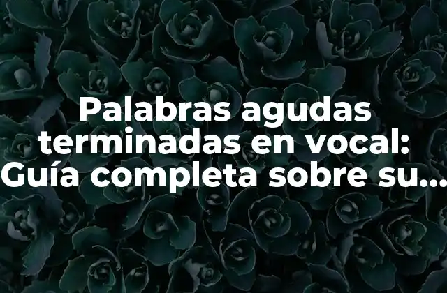 Palabras Agudas Terminadas en Vocal: Guía Completa sobre Su Uso y Características