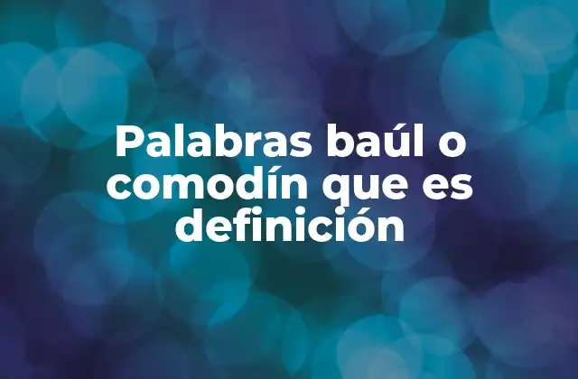 Palabras Baúl o Comodín que es Definición