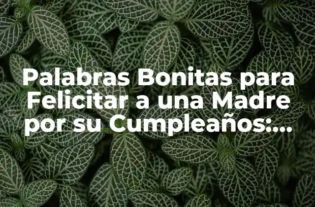 Palabras Bonitas para Felicitar a una Madre por Su Cumpleaños: Ideas Inspiradoras