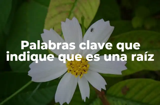 El rol de la raíz en la formación de nuevas palabras