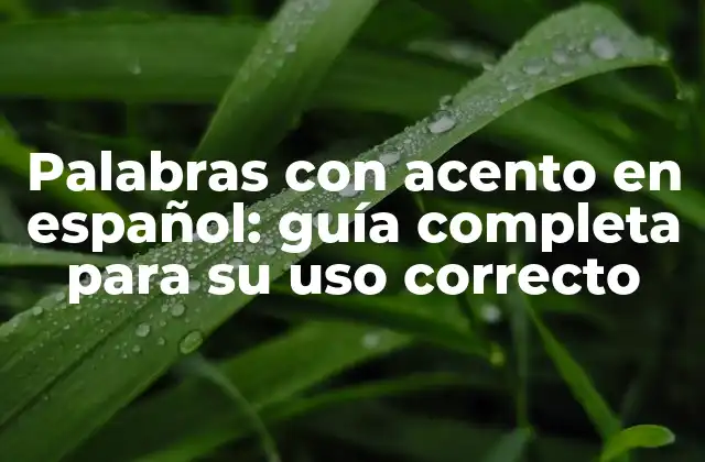 Palabras con Acento en Español: Guía Completa para Su Uso Correcto