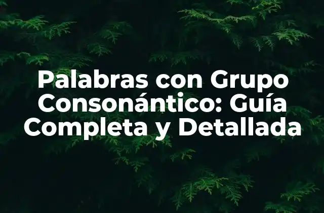 ¿Qué son las Palabras con Grupo Consonántico?