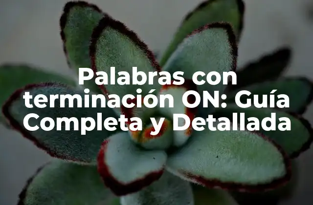 Palabras con Terminación On: Guía Completa y Detallada
