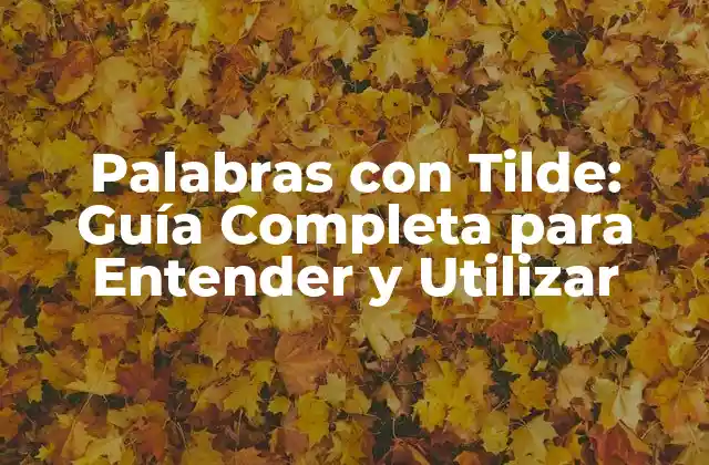 ¿Cuáles son las Palabras con Tilde más Comunes?