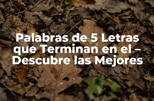 Palabras de 5 Letras que Terminan en el – Descubre las Mejores