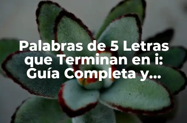 Palabras de 5 Letras que Terminan en I: Guía Completa y Detallada 2 ¿Cuáles son las Palabras de 5 Letras que Terminan en i más Comunes?