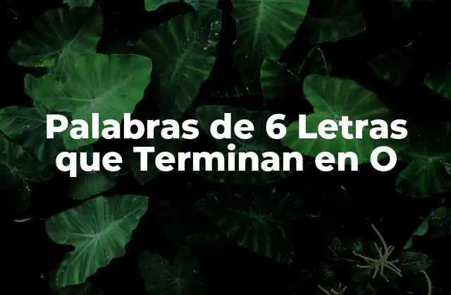 Palabras de 6 Letras que Terminan en o