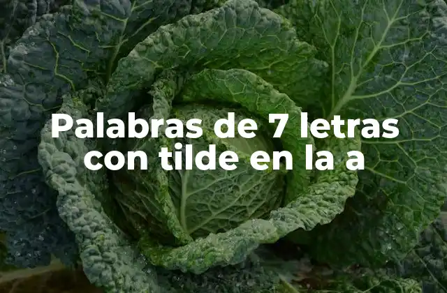 Palabras de 7 Letras con Tilde en la a