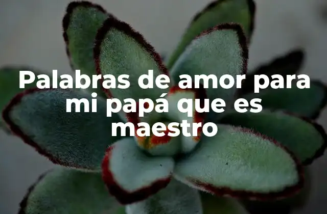 Palabras de Amor para Mi Papá que es Maestro 2 El impacto emocional de un padre que es maestro