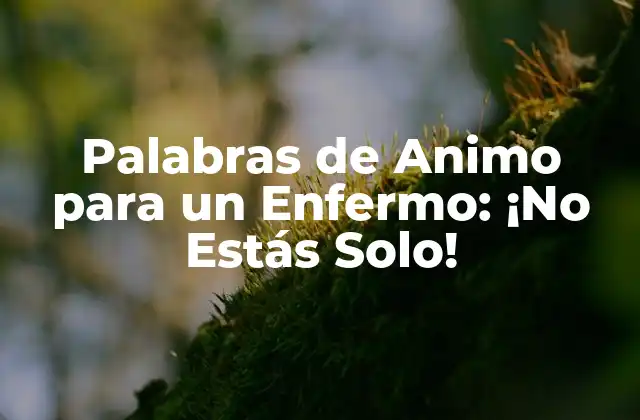 Palabras de Animo para un Enfermo: ¡no Estás Solo! 2 ¿Por qué son Importantes las Palabras de Animo para un Enfermo?