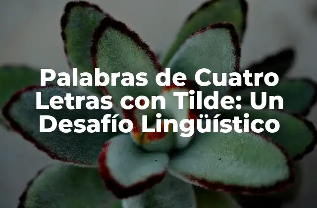 Palabras de Cuatro Letras con Tilde: un Desafío Lingüístico
