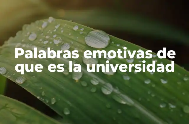 Palabras Emotivas de que es la Universidad
