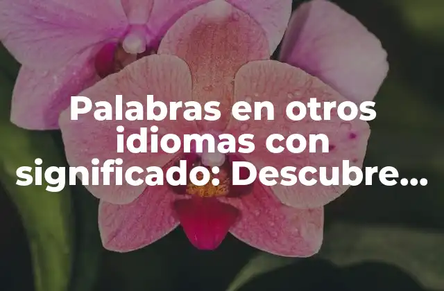 Palabras en Otros Idiomas con Significado: Descubre el Poder Del Lenguaje