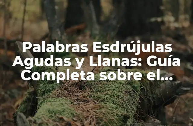 Palabras Esdrújulas Agudas y Llanas: Guía Completa sobre el Acento en Español