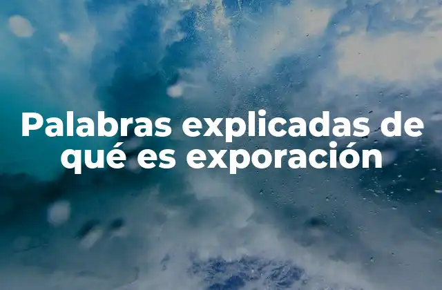 Palabras Explicadas de Qué es Exporación