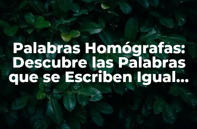 Palabras Homógrafas: Descubre las Palabras que Se Escriben Igual pero Tienen Diferente Significado