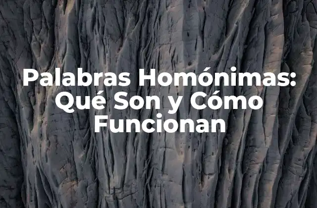Palabras Homónimas: Qué Son y Cómo Funcionan