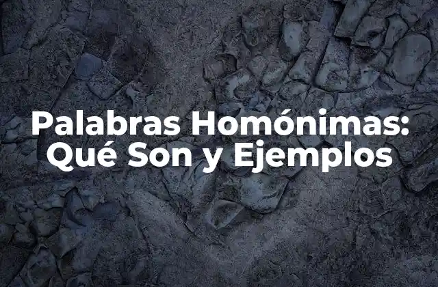 Definición de Palabras Homónimas