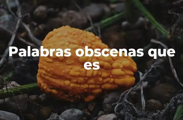 Palabras Obscenas que es