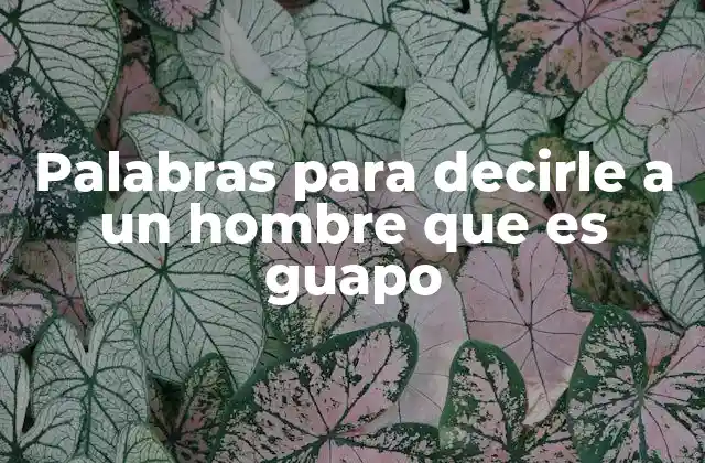 Palabras para Decirle a un Hombre que es Guapo
