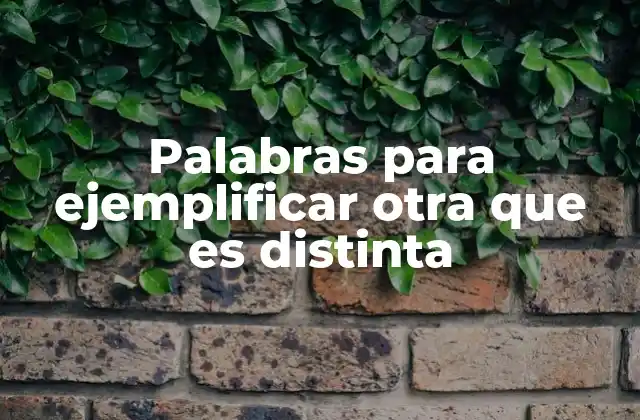 Palabras para Ejemplificar Otra que es Distinta 2 La importancia de usar términos distintos para ejemplificar una idea