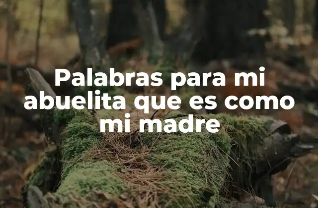 Palabras para Mi Abuelita que es como Mi Madre 2 El poder emocional de las palabras dedicadas a una abuela
