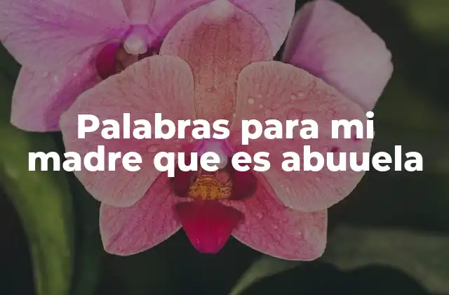 Palabras para Mi Madre que es Abuuela