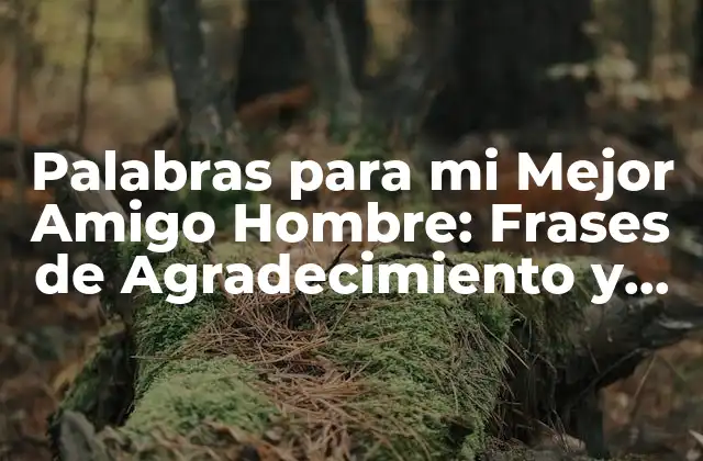 Palabras para Mi Mejor Amigo Hombre: Frases de Agradecimiento y Amistad