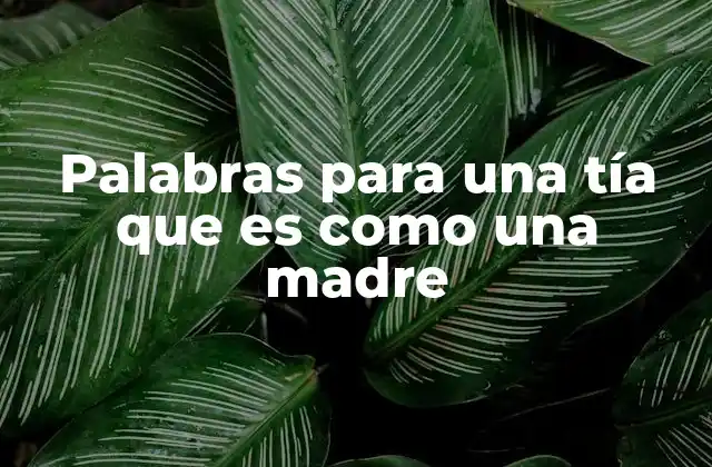 Palabras para una Tía que es como una Madre