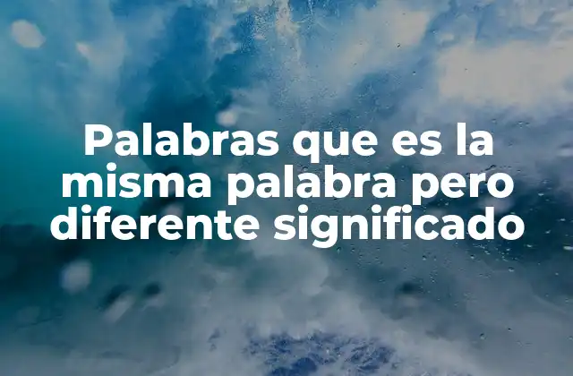 Palabras que es la Misma Palabra pero Diferente Significado