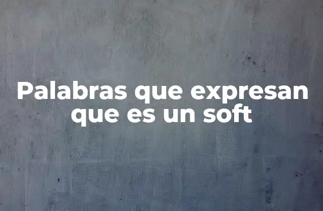 Palabras que Expresan que es un Soft