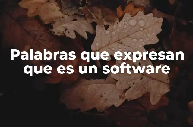 Palabras que Expresan que es un Software