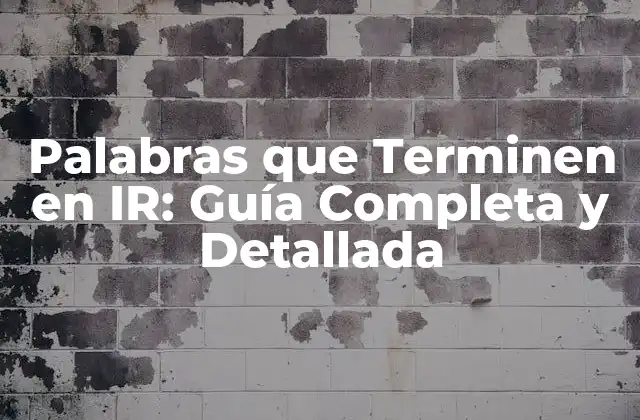 Palabras que Terminen en Ir: Guía Completa y Detallada