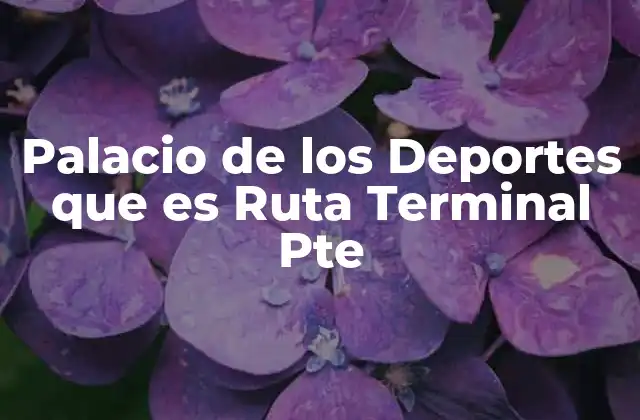 El legado del Palacio de los Deportes como espacio cultural y social