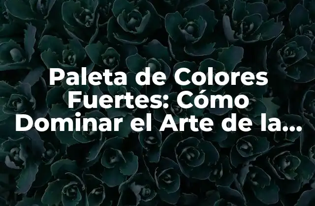 Paleta de Colores Fuertes: Cómo Dominar el Arte de la Combinación de Colores