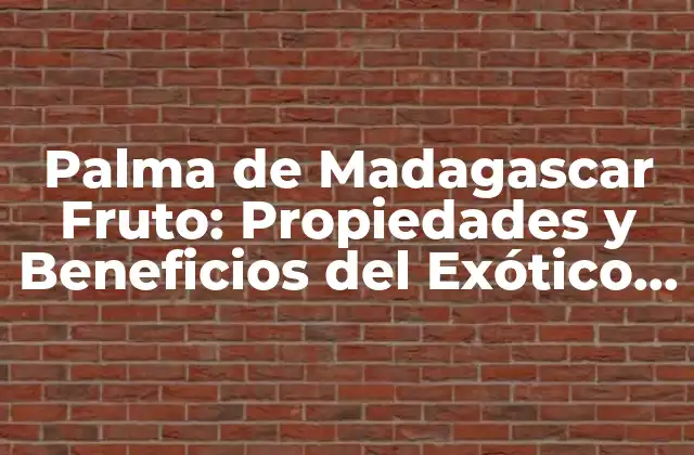 Palma de Madagascar Fruto: Propiedades y Beneficios Del Exótico Fruto