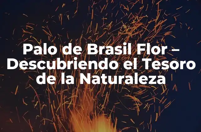 Palo de Brasil Flor – Descubriendo el Tesoro de la Naturaleza