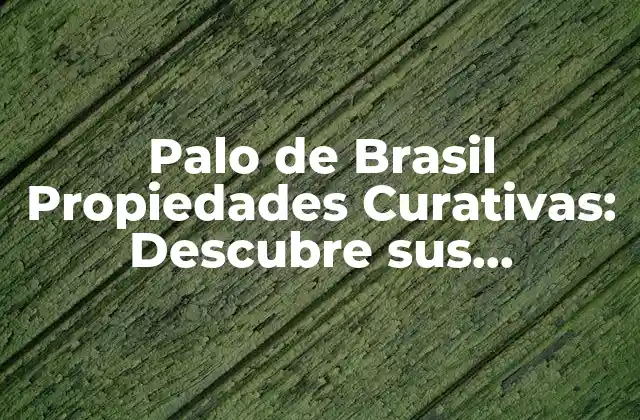 Palo de Brasil Propiedades Curativas: Descubre Sus Beneficios